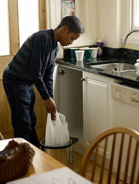 Debris Removal in Spry, PA